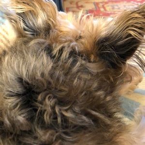 Meet your Posher, Becky